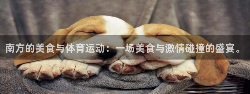 中欧体育app：南方的美食与体育运动：一场美食与激情碰撞的盛宴。