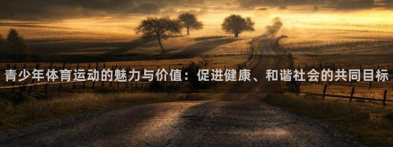 中欧体育李勇鸿：青少年体育运动的魅力与价值：促进健康、和谐社会的共同目标