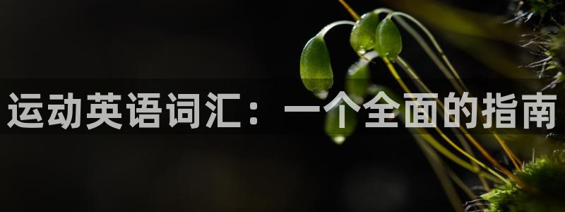 中欧体育客服：运动英语词汇：一个全面的指南