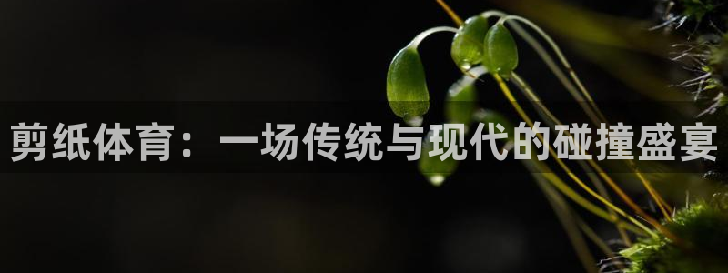 中欧体育集团：剪纸体育：一场传统与现代的碰撞盛宴