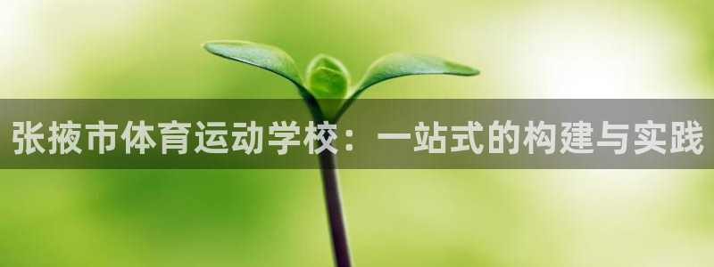 zoty中欧体育：张掖市体育运动学校：一站式的构建与实践