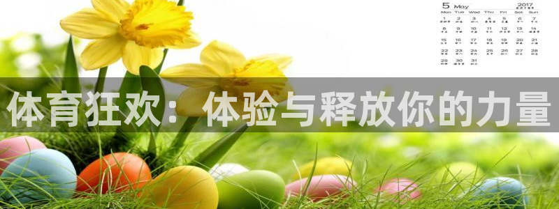 中欧体育李勇鸿：体育狂欢：体验与释放你的力量