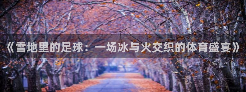 中欧体育最新地址：《雪地里的足球：一场冰与火交织的体育盛宴》