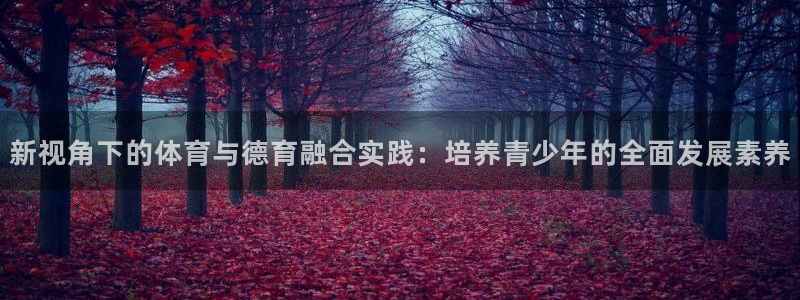 中欧体育官网：新视角下的体育与德育融合实践：培养青少年的全面发展素养